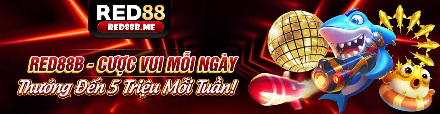 Hình ảnh chính về mẹo cá cược thể thao vnbet
