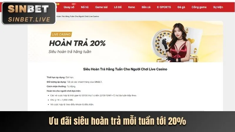 Trò chơi Dragon Tiger tại VNBET